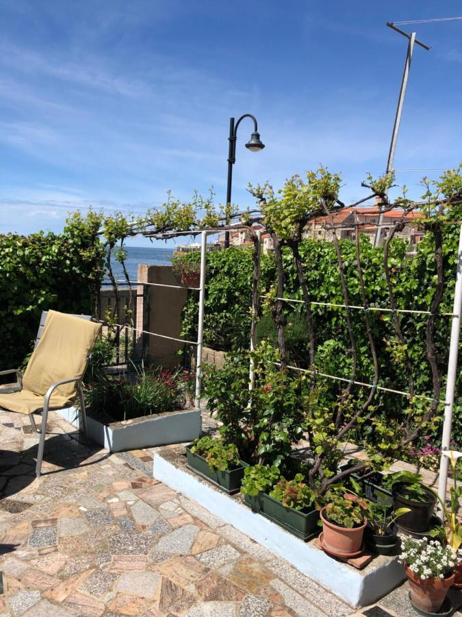 Apartman Ana Umag Bagian luar foto